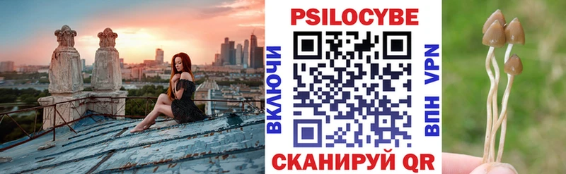 Псилоцибиновые грибы Psilocybe  купить наркотики сайты  Николаевск-на-Амуре 
